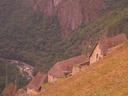 The agricultural huts.